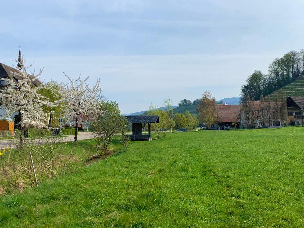 Winzerhof Maennle Lejlighed Oberkirch  Eksteriør billede