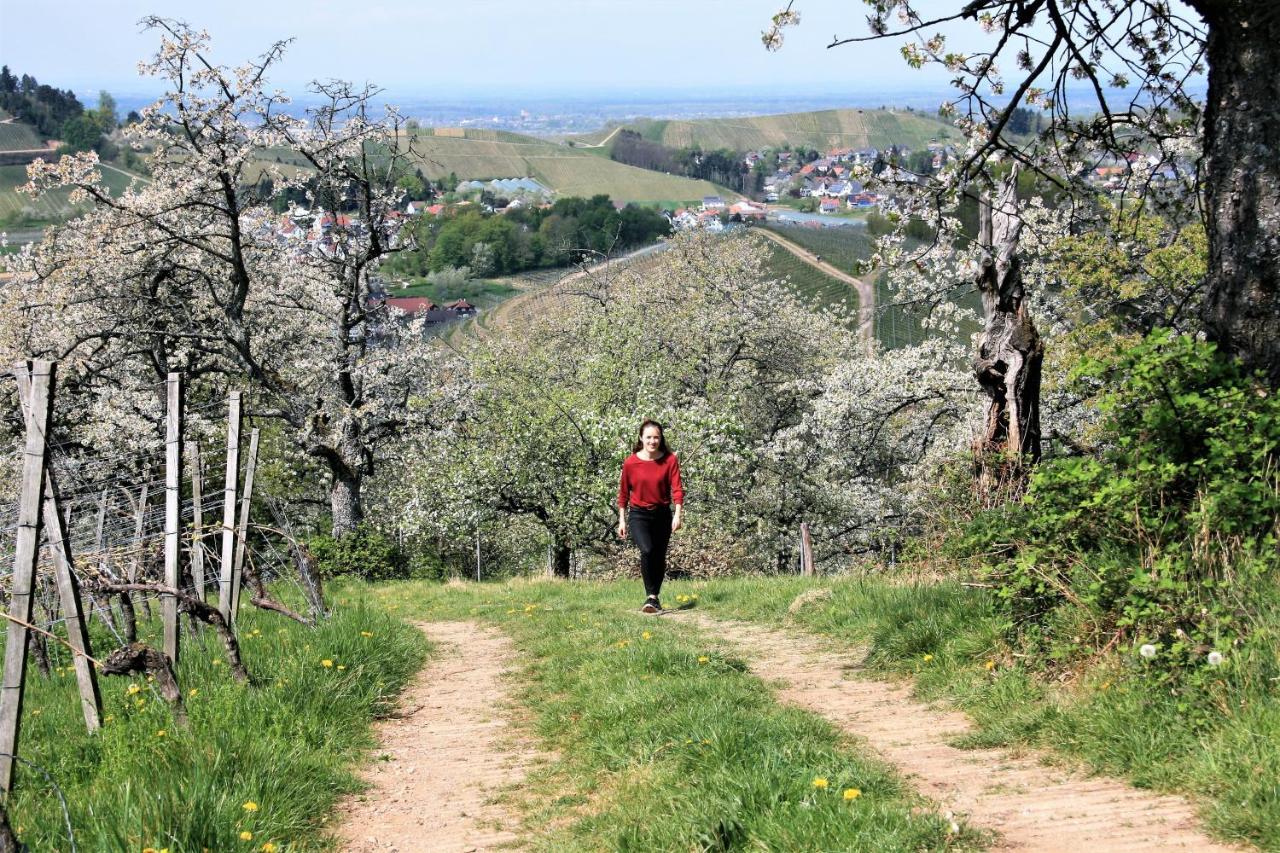 Winzerhof Maennle Lejlighed Oberkirch  Eksteriør billede